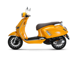 Scooter Driving License